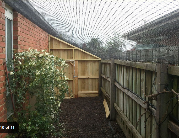 Outdoor Cat Enclosure