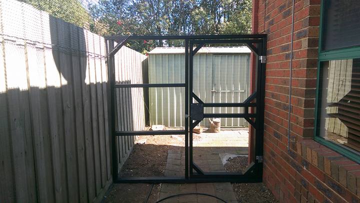 Outdoor Cat Run