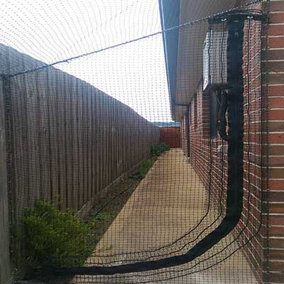 Designing Your Own Cat Enclosure Cat Enclosure Netting Entrance