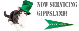 Cat Enclosures now being serviced in the Gippsland area. Click Here!